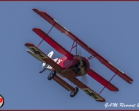TSR Watermark - 0418
